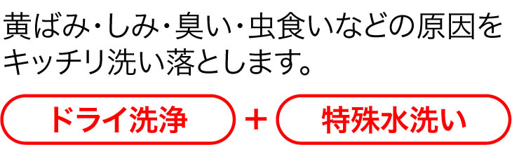 黄ばみ・しみ・臭い・虫食いなどの原因をキッチリ洗い落とします。ドライ洗浄+特殊水洗い